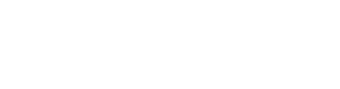 national carriers — the "Elite" fleet